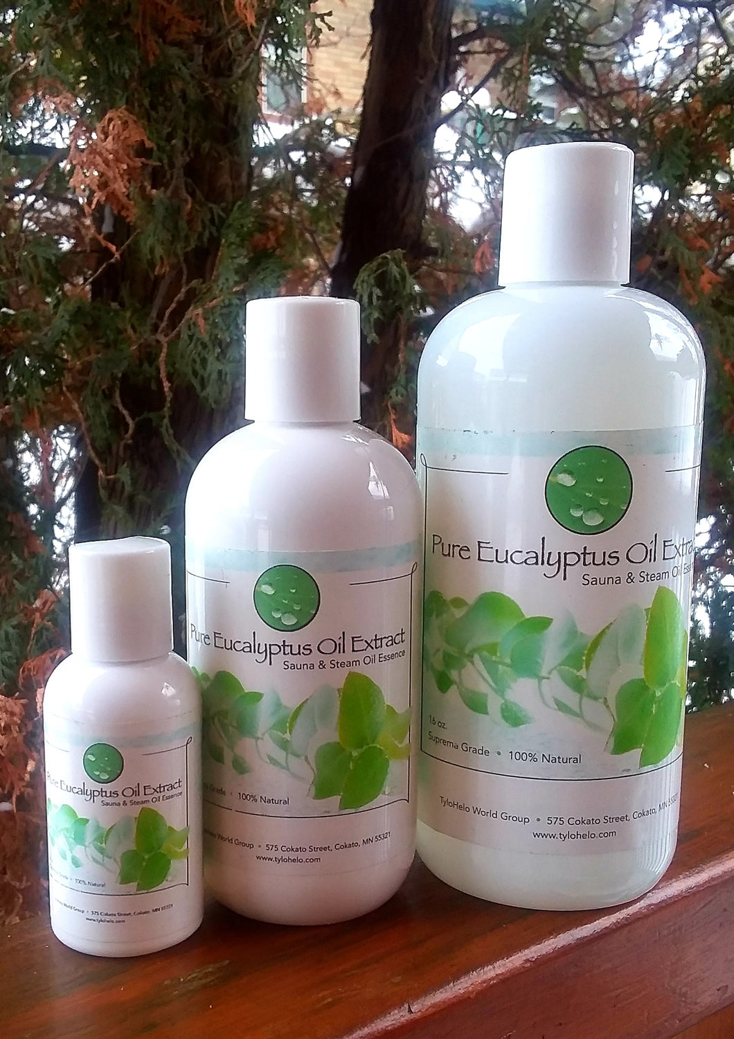 Eucalyptus Oil - Premium Grade