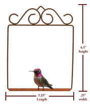 Load image into Gallery viewer, Hummingbird Swing